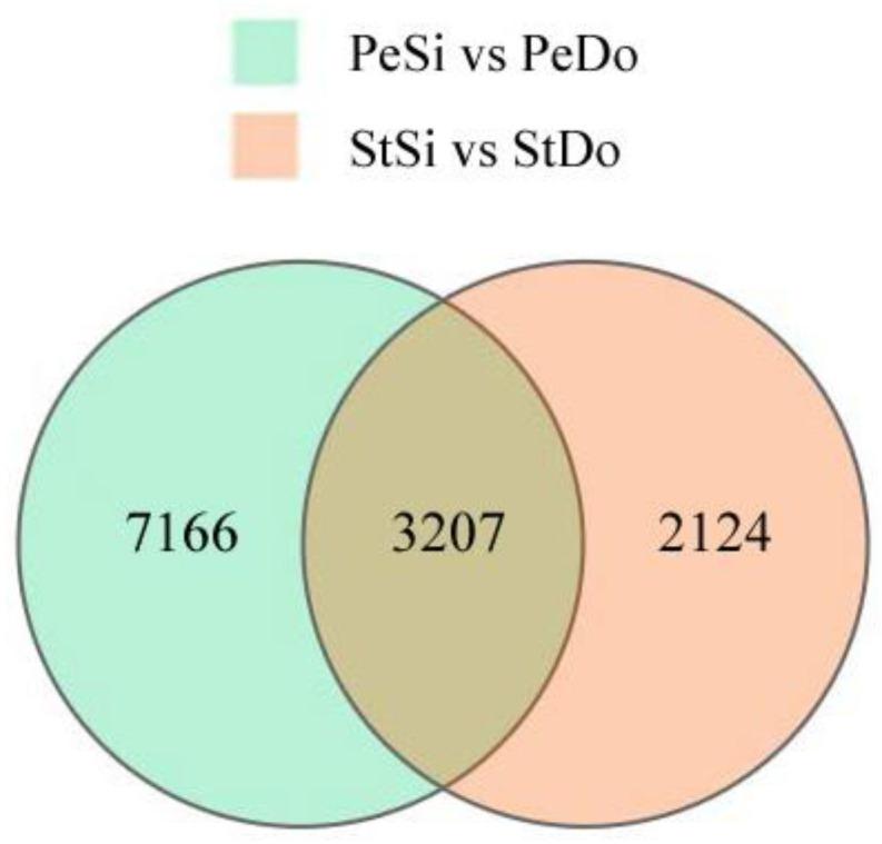 https://cdn.ncbi.nlm.nih.gov/pmc/blobs/5b38/10346766/6349664ffb52/plants-12-02402-g003.jpg