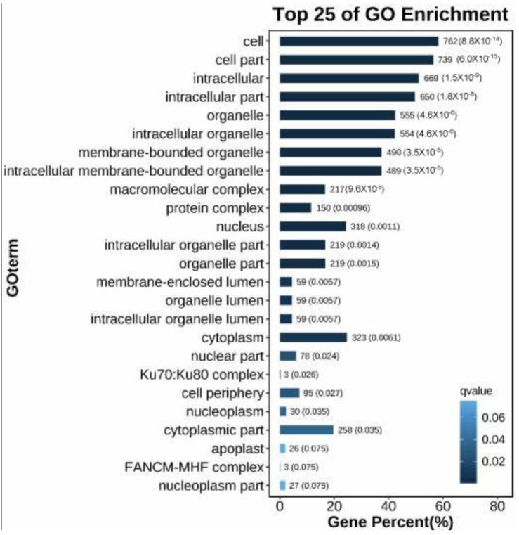https://cdn.ncbi.nlm.nih.gov/pmc/blobs/5b38/10346766/80a3cbcccd76/plants-12-02402-g005.jpg