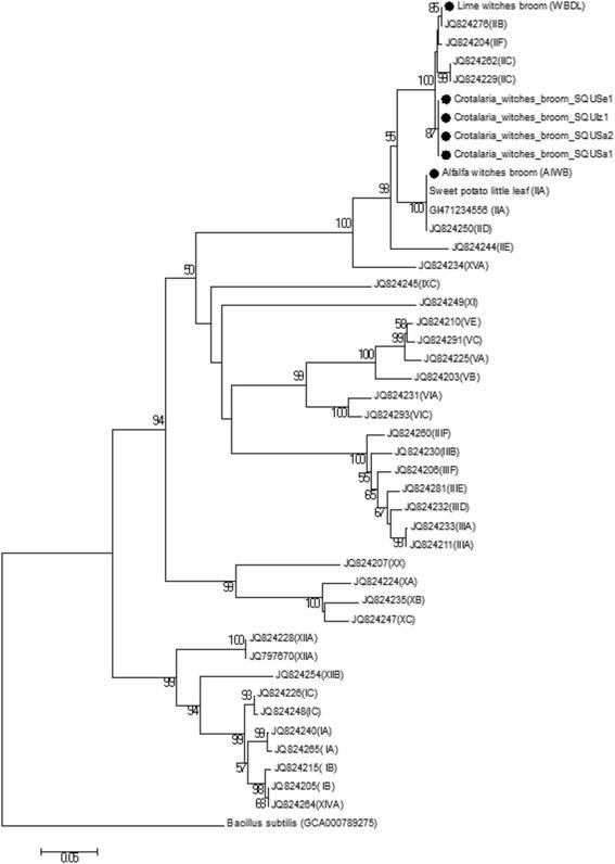 https://cdn.ncbi.nlm.nih.gov/pmc/blobs/5b38/5702145/8acf0c0994b2/12866_2017_1130_Fig5_HTML.jpg
