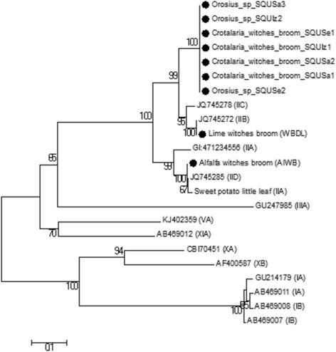 https://cdn.ncbi.nlm.nih.gov/pmc/blobs/5b38/5702145/c9a52ed3ca15/12866_2017_1130_Fig6_HTML.jpg