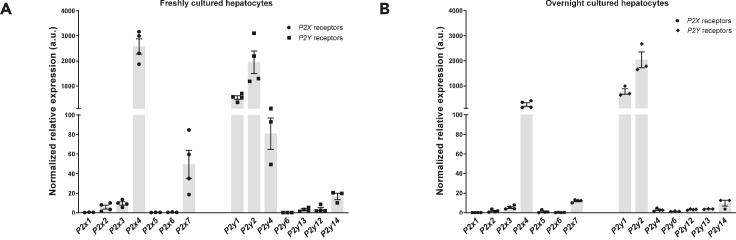 https://cdn.ncbi.nlm.nih.gov/pmc/blobs/5b39/8496176/006e53a320e6/gr2.jpg