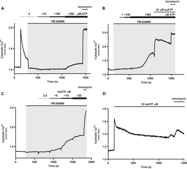https://cdn.ncbi.nlm.nih.gov/pmc/blobs/5b39/8496176/9756585eba4b/gr3.jpg
