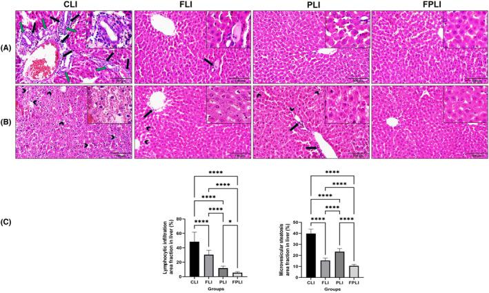 https://cdn.ncbi.nlm.nih.gov/pmc/blobs/5b3a/10805504/0f0033ac9b98/JCMM-28-e18014-g002.jpg