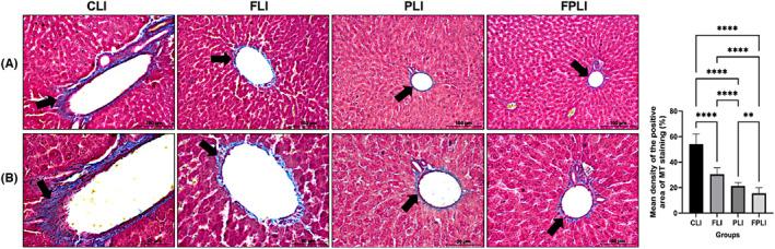 https://cdn.ncbi.nlm.nih.gov/pmc/blobs/5b3a/10805504/4b14297b4a24/JCMM-28-e18014-g003.jpg