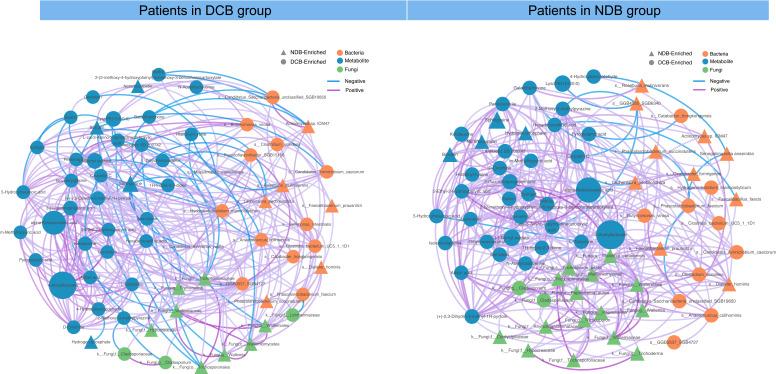 https://cdn.ncbi.nlm.nih.gov/pmc/blobs/5b3a/11163665/67e9ad5eba7e/jitc-2023-008686f02.jpg