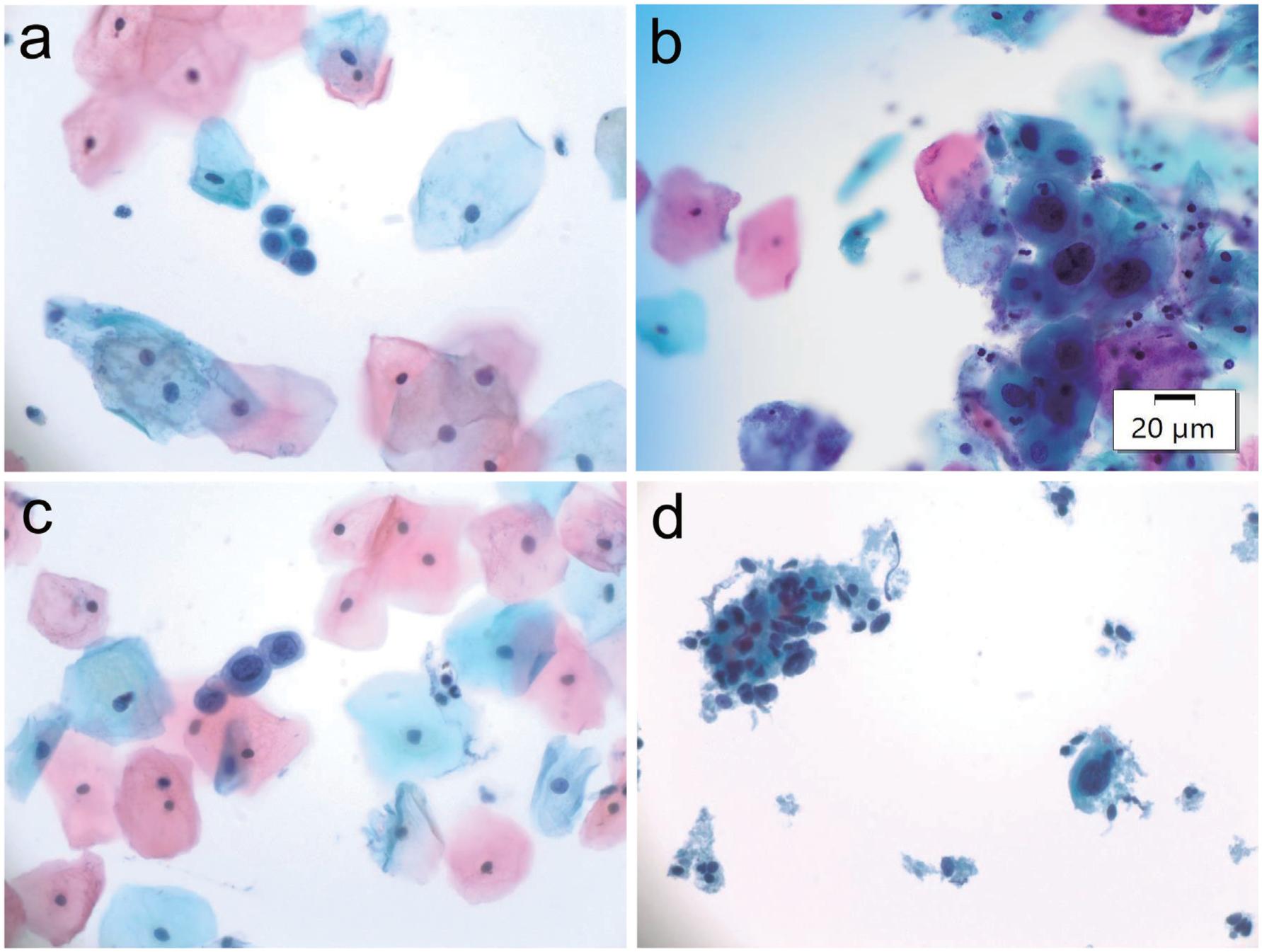 https://cdn.ncbi.nlm.nih.gov/pmc/blobs/5b3b/10348779/5cb446cddd70/nihms-1895426-f0004.jpg