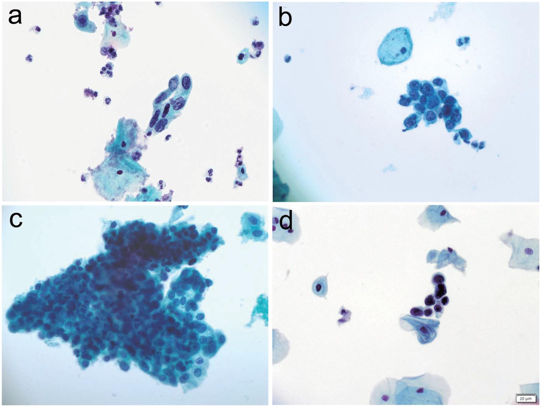 https://cdn.ncbi.nlm.nih.gov/pmc/blobs/5b3b/10348779/9180daf1f101/nihms-1895426-f0005.jpg