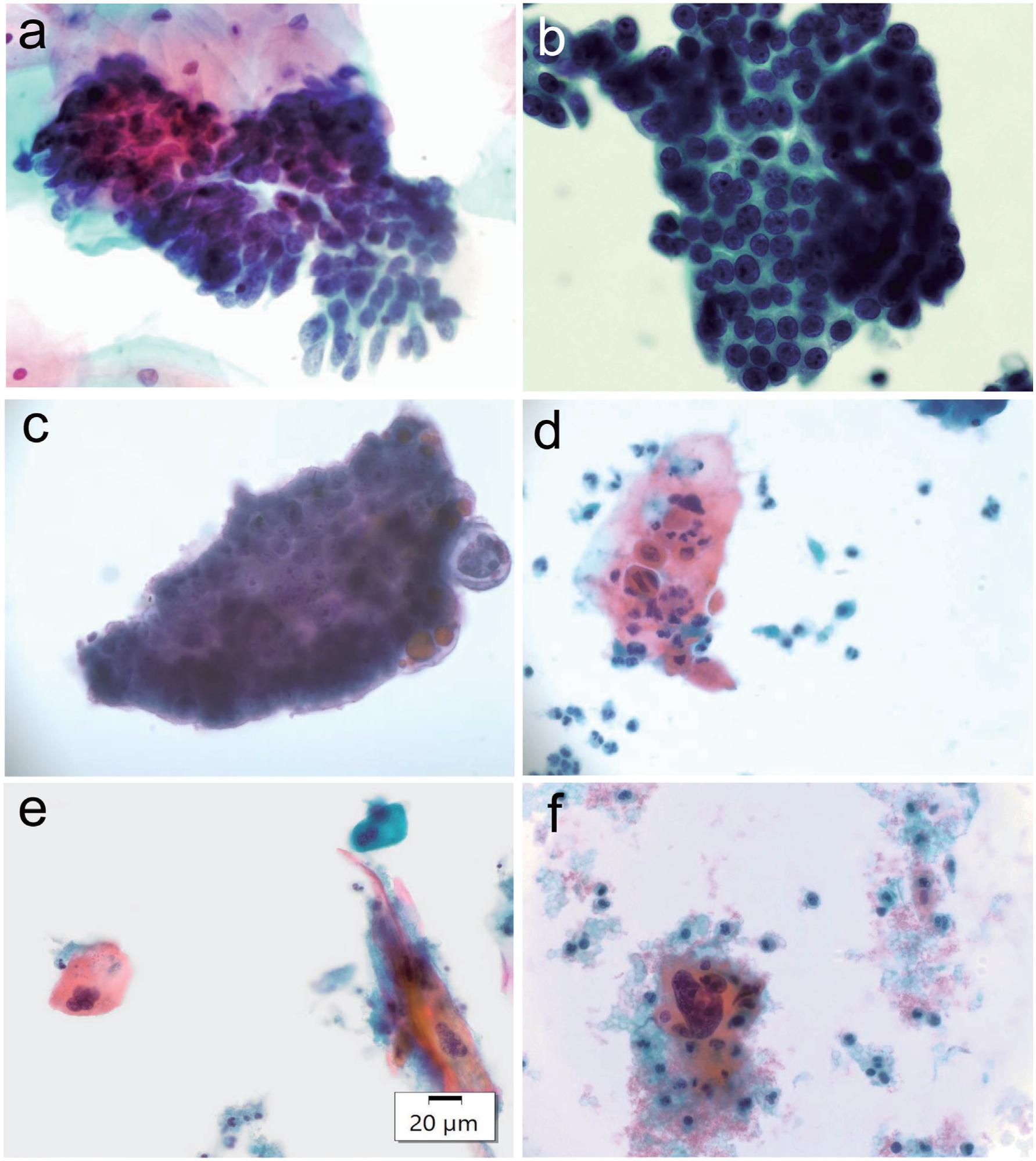 https://cdn.ncbi.nlm.nih.gov/pmc/blobs/5b3b/10348779/b87ae5ee32ed/nihms-1895426-f0006.jpg