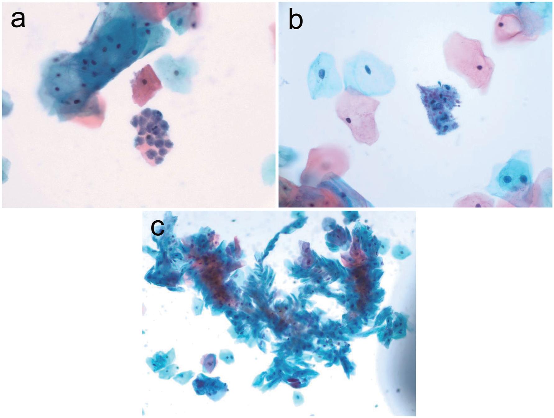 https://cdn.ncbi.nlm.nih.gov/pmc/blobs/5b3b/10348779/f54297685840/nihms-1895426-f0001.jpg
