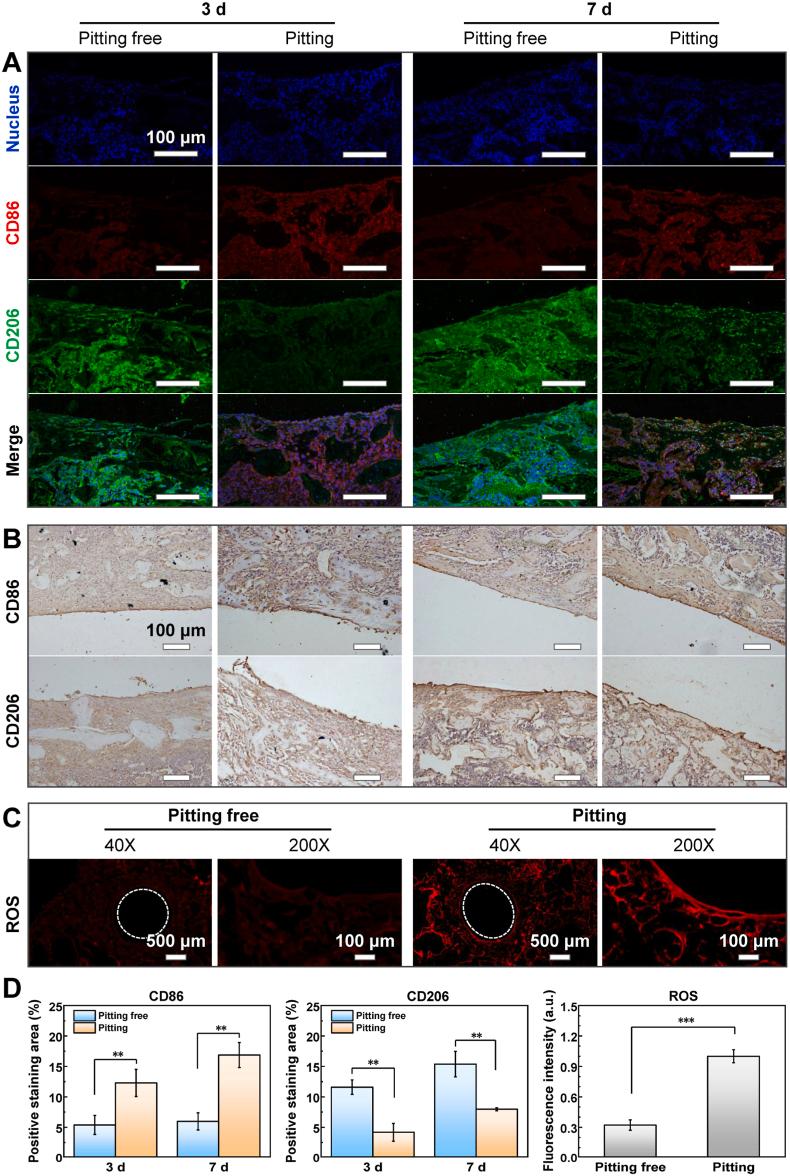 https://cdn.ncbi.nlm.nih.gov/pmc/blobs/5b3e/10474585/bc7e725f63d9/gr7.jpg