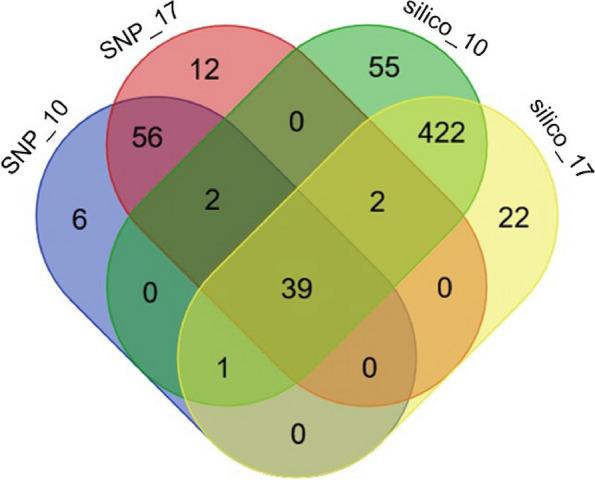 https://cdn.ncbi.nlm.nih.gov/pmc/blobs/5b3e/11022434/da4ba0a01583/12870_2024_4960_Fig6_HTML.jpg