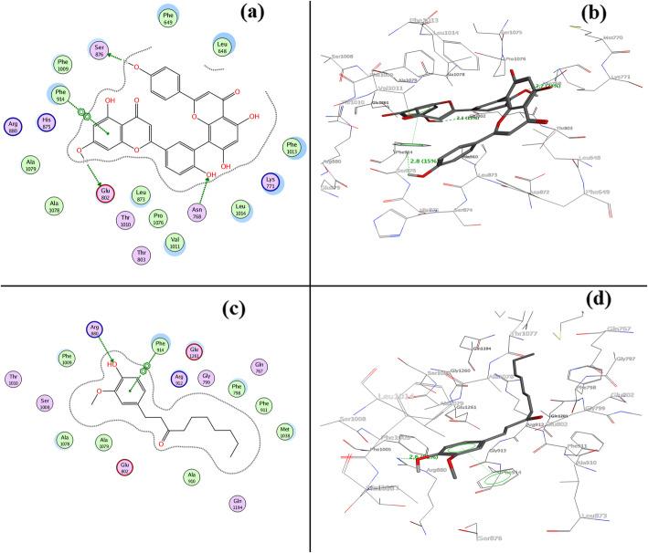 https://cdn.ncbi.nlm.nih.gov/pmc/blobs/5b3f/7775628/05f2cd899426/12906_2020_3162_Fig2_HTML.jpg