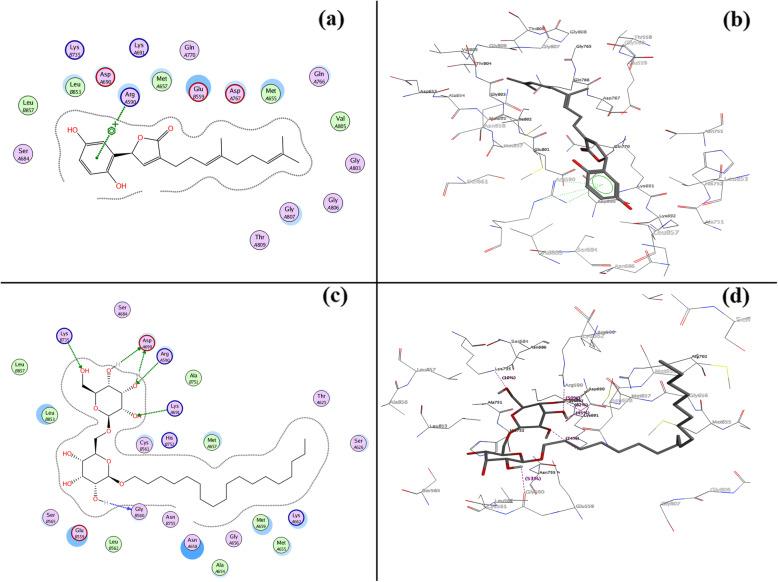 https://cdn.ncbi.nlm.nih.gov/pmc/blobs/5b3f/7775628/5bb13153b6d5/12906_2020_3162_Fig3_HTML.jpg