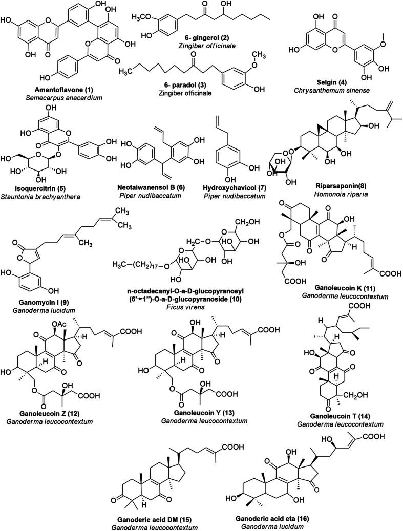 https://cdn.ncbi.nlm.nih.gov/pmc/blobs/5b3f/7775628/a519765cb996/12906_2020_3162_Fig1_HTML.jpg