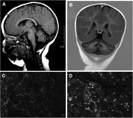 https://cdn.ncbi.nlm.nih.gov/pmc/blobs/5b42/3341568/d25f401db5b3/gr1.jpg