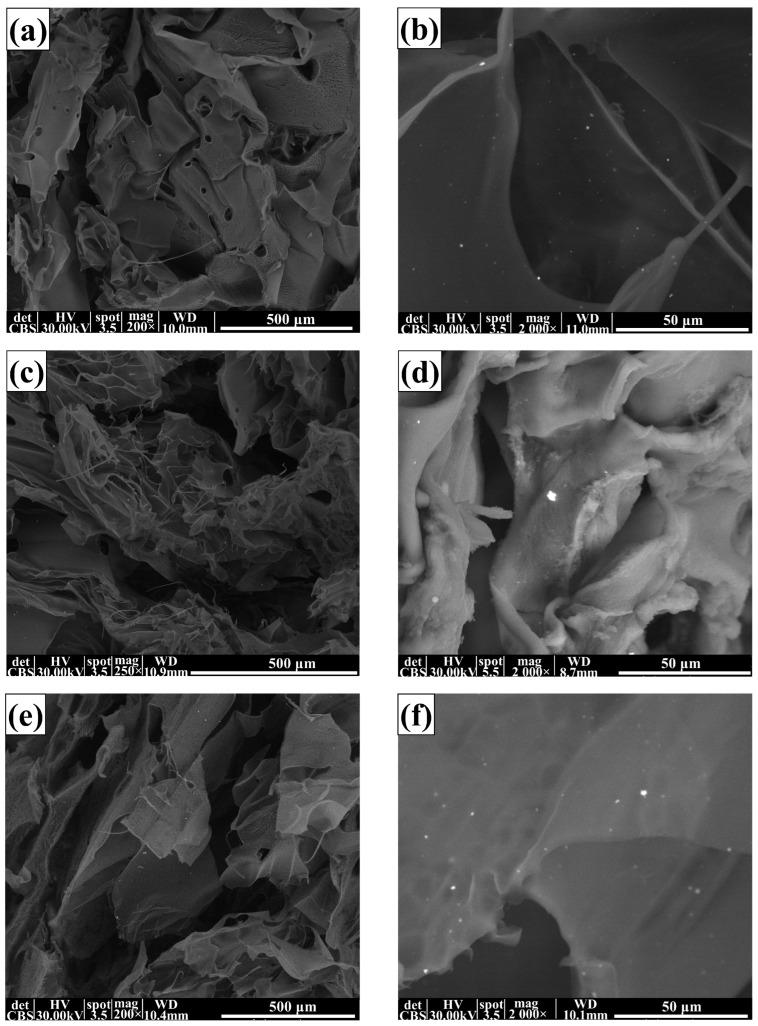 https://cdn.ncbi.nlm.nih.gov/pmc/blobs/5b43/10305225/5424ed661b13/membranes-13-00591-g004a.jpg