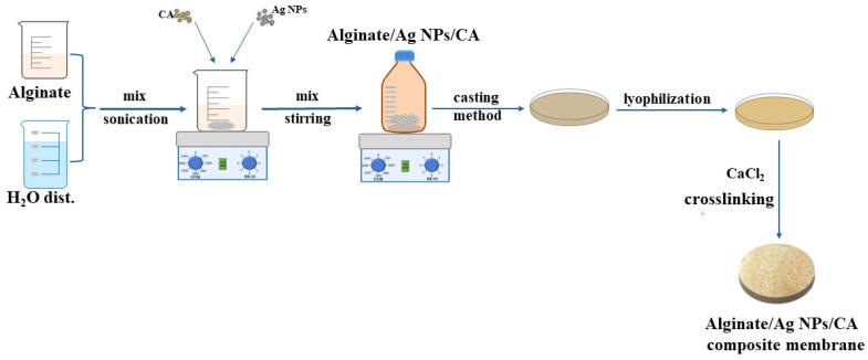 https://cdn.ncbi.nlm.nih.gov/pmc/blobs/5b43/10305225/69b21633094c/membranes-13-00591-g001.jpg
