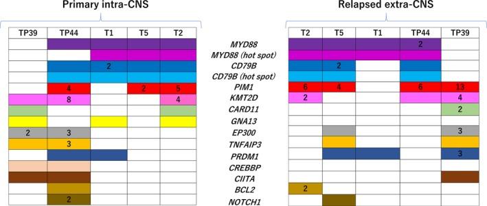 https://cdn.ncbi.nlm.nih.gov/pmc/blobs/5b43/6317941/1ac5fa752fc9/CAS-110-401-g001.jpg