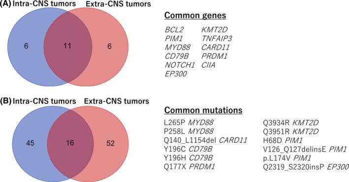 https://cdn.ncbi.nlm.nih.gov/pmc/blobs/5b43/6317941/d0acf0d736af/CAS-110-401-g003.jpg