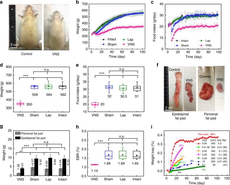 https://cdn.ncbi.nlm.nih.gov/pmc/blobs/5b48/6297229/0c0560388164/41467_2018_7764_Fig4_HTML.jpg