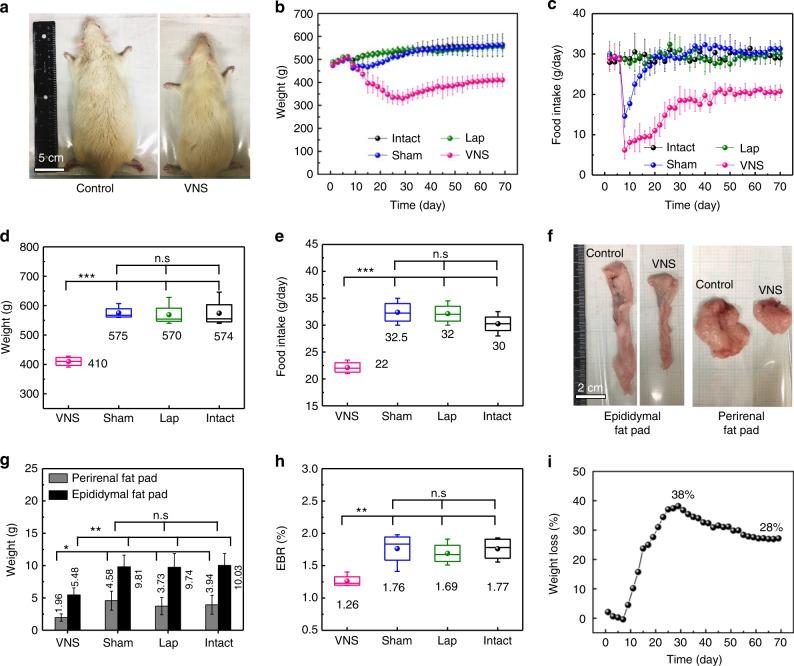 https://cdn.ncbi.nlm.nih.gov/pmc/blobs/5b48/6297229/177b9b354c93/41467_2018_7764_Fig5_HTML.jpg