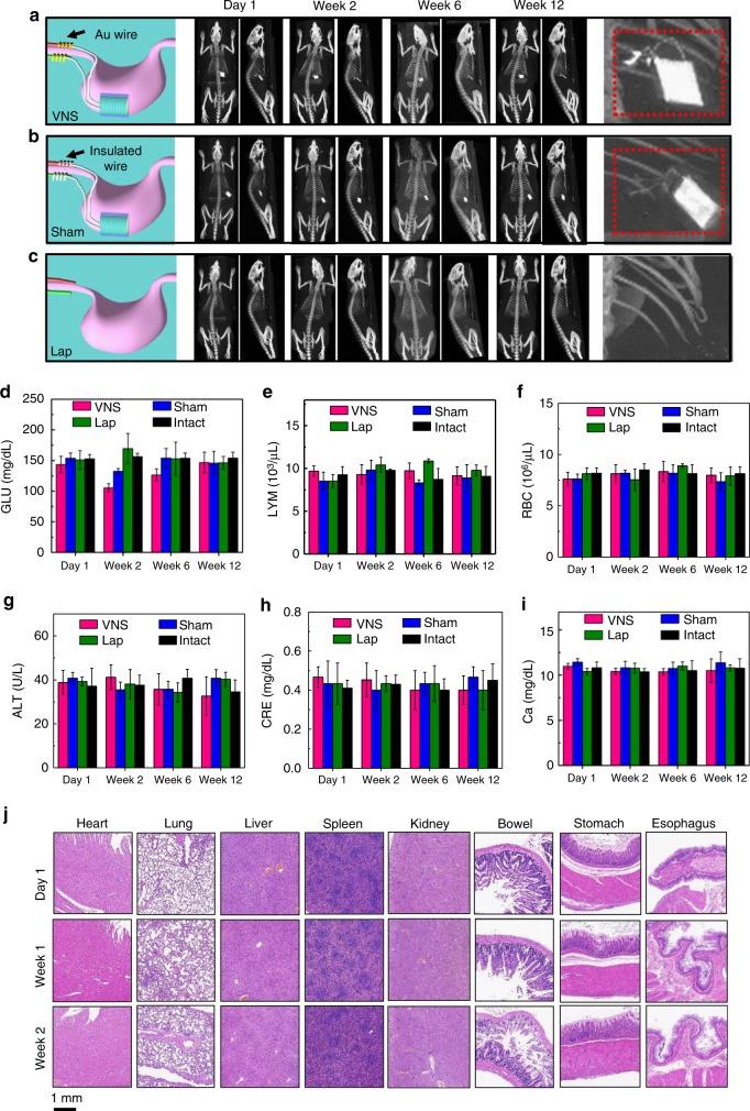https://cdn.ncbi.nlm.nih.gov/pmc/blobs/5b48/6297229/54c9e0ede971/41467_2018_7764_Fig3_HTML.jpg