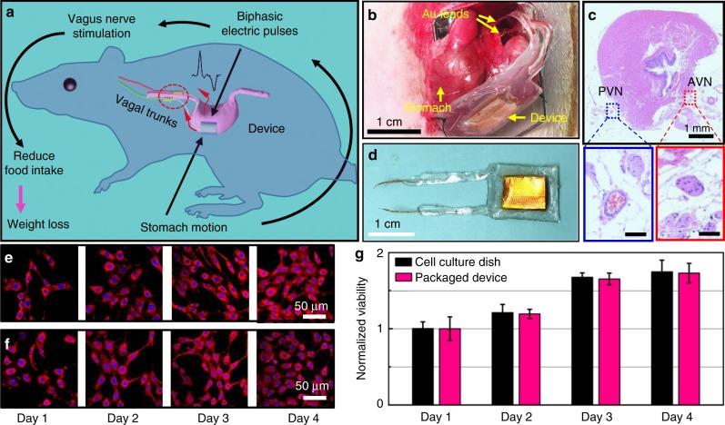 https://cdn.ncbi.nlm.nih.gov/pmc/blobs/5b48/6297229/c34fb0a7aa5c/41467_2018_7764_Fig1_HTML.jpg