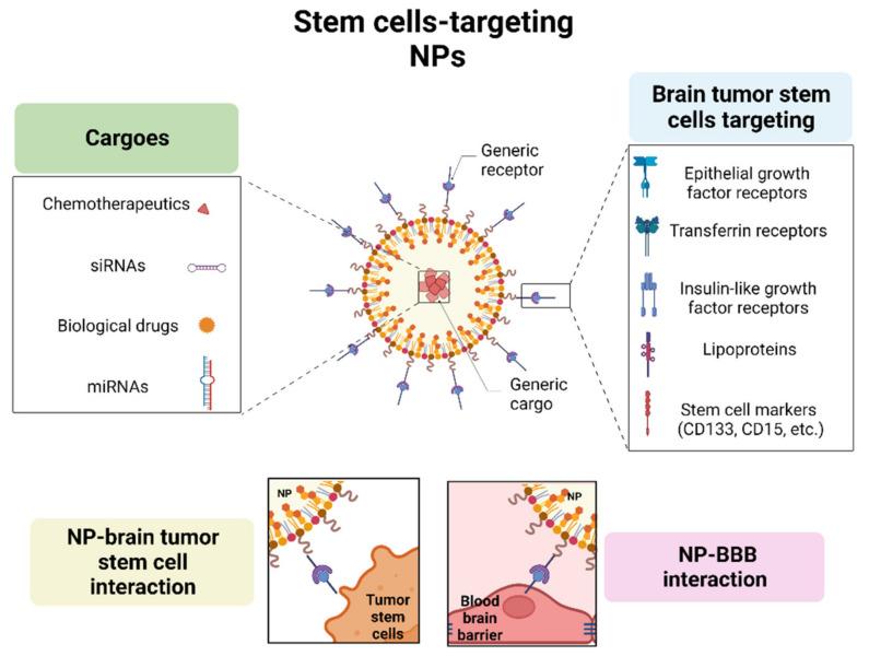 https://cdn.ncbi.nlm.nih.gov/pmc/blobs/5b49/9962005/da09812619af/pharmaceutics-15-00505-g003.jpg