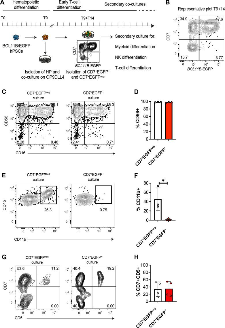 https://cdn.ncbi.nlm.nih.gov/pmc/blobs/5b4a/12325321/462b098dbd9e/fimmu-16-1617707-g004.jpg