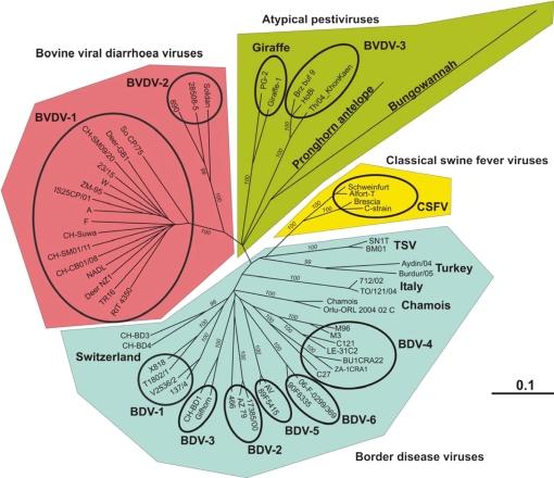 https://cdn.ncbi.nlm.nih.gov/pmc/blobs/5b4a/2850149/a01a6a51b0ec/vetres-41-44-fig2.jpg
