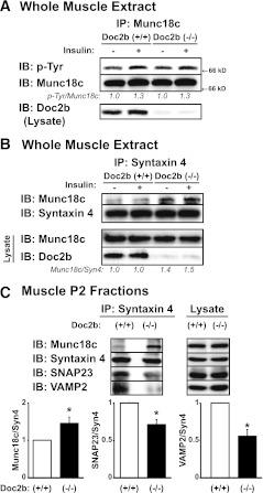 https://cdn.ncbi.nlm.nih.gov/pmc/blobs/5b4a/3447898/5345858b2d2a/2424fig6.jpg