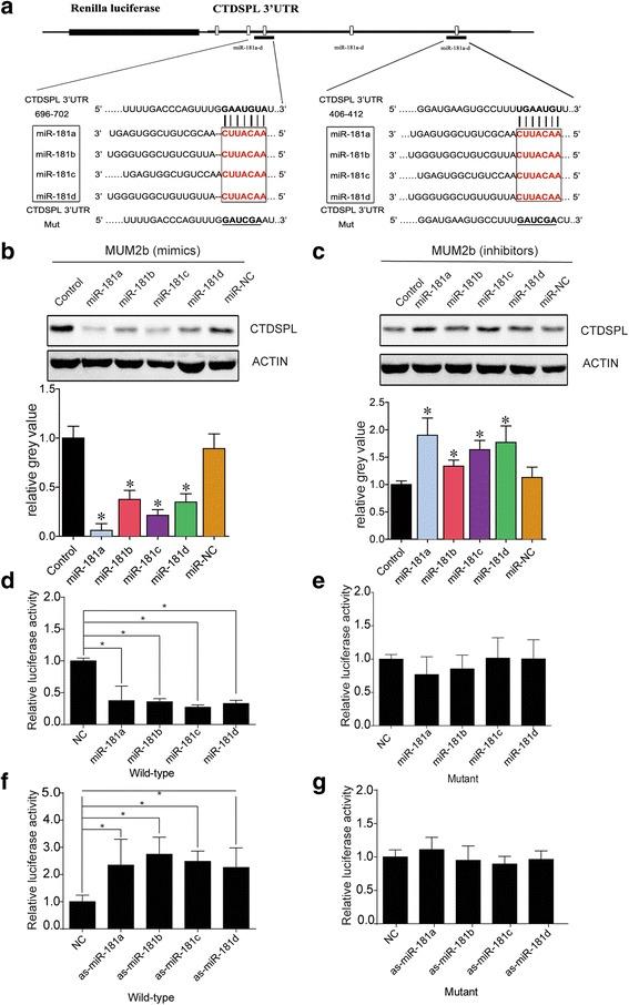 https://cdn.ncbi.nlm.nih.gov/pmc/blobs/5b4c/5791374/18571369fe3f/13046_2018_679_Fig2_HTML.jpg