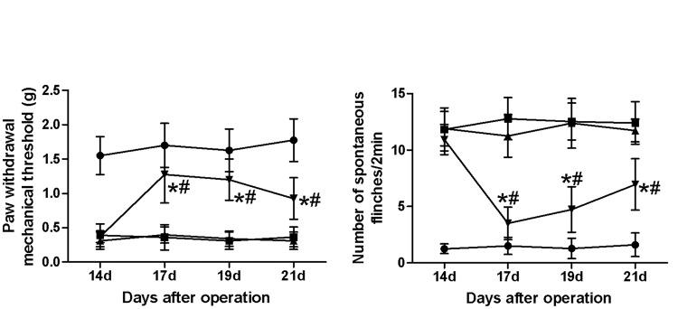 https://cdn.ncbi.nlm.nih.gov/pmc/blobs/5b54/4955996/548baff56b58/10.1177_1744806916641679-fig3.jpg