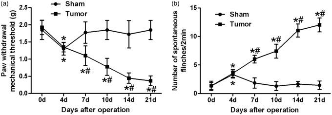 https://cdn.ncbi.nlm.nih.gov/pmc/blobs/5b54/4955996/727d6185010f/10.1177_1744806916641679-fig1.jpg