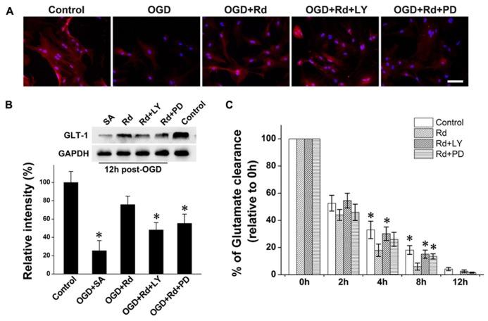 https://cdn.ncbi.nlm.nih.gov/pmc/blobs/5b56/3858668/021f3924d56d/fphar-04-00152-g004.jpg