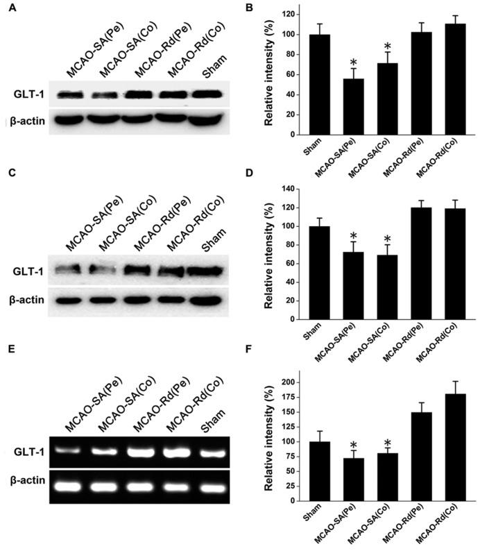 https://cdn.ncbi.nlm.nih.gov/pmc/blobs/5b56/3858668/c76319cc6b84/fphar-04-00152-g002.jpg