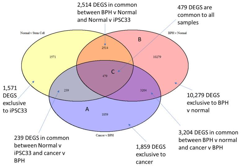 https://cdn.ncbi.nlm.nih.gov/pmc/blobs/5b57/8658468/2f85cc3a98f3/ijms-22-13097-g003.jpg