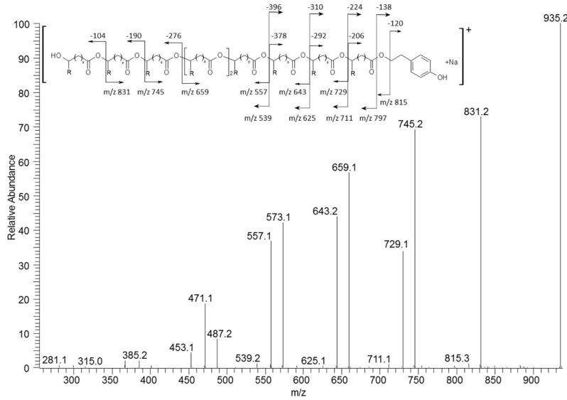 https://cdn.ncbi.nlm.nih.gov/pmc/blobs/5b58/5503025/0a50e12401a5/materials-09-00307-g003.jpg
