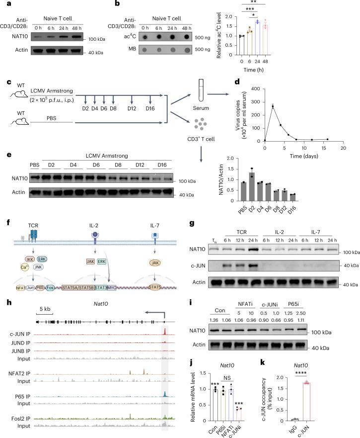 https://cdn.ncbi.nlm.nih.gov/pmc/blobs/5b5c/11957992/25d7c8905a8b/41590_2025_2100_Fig1_HTML.jpg