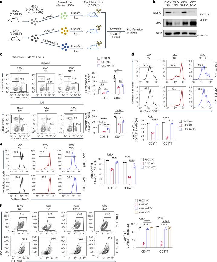 https://cdn.ncbi.nlm.nih.gov/pmc/blobs/5b5c/11957992/826d6aef97ae/41590_2025_2100_Fig5_HTML.jpg