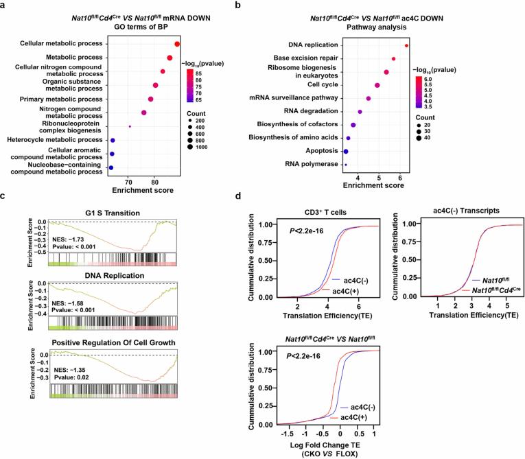 https://cdn.ncbi.nlm.nih.gov/pmc/blobs/5b5c/11957992/95daa2bc5428/41590_2025_2100_Fig11_ESM.jpg