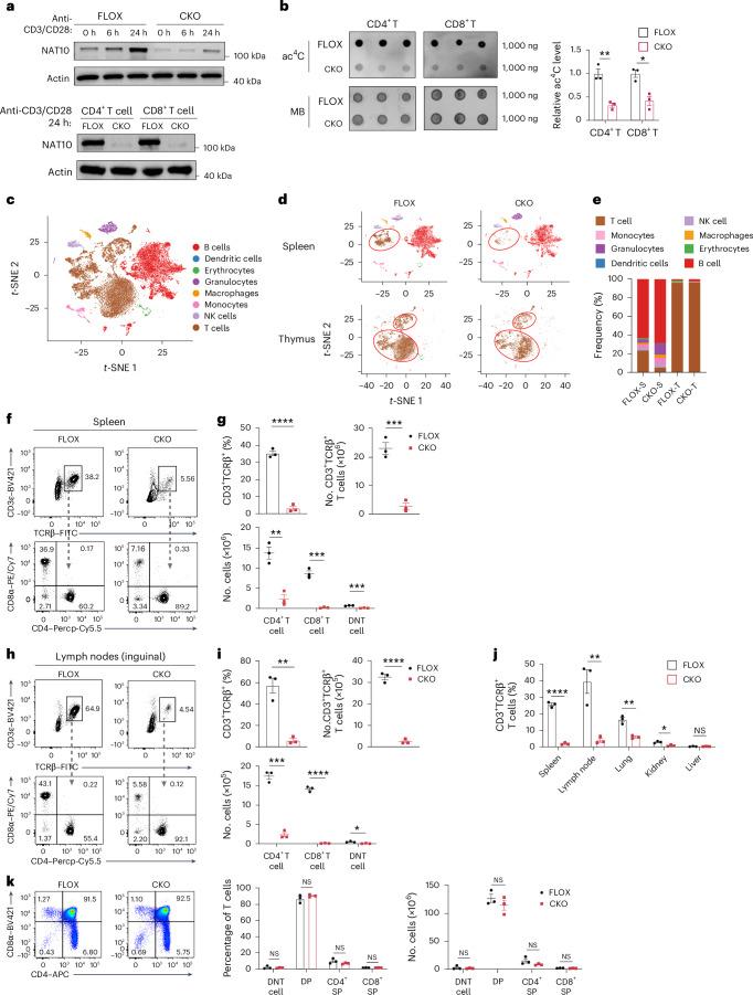 https://cdn.ncbi.nlm.nih.gov/pmc/blobs/5b5c/11957992/9fd8c2b85581/41590_2025_2100_Fig2_HTML.jpg