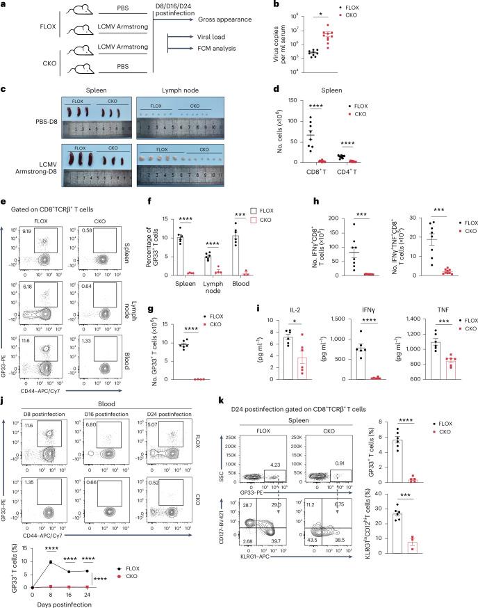 https://cdn.ncbi.nlm.nih.gov/pmc/blobs/5b5c/11957992/e9af145c5104/41590_2025_2100_Fig6_HTML.jpg