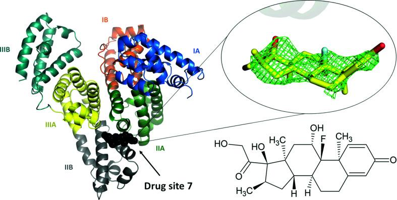 https://cdn.ncbi.nlm.nih.gov/pmc/blobs/5b5c/7642781/bd2444986cd3/m-07-01048-fig1.jpg