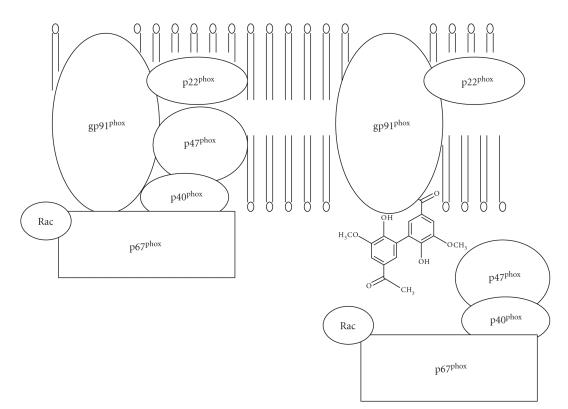 https://cdn.ncbi.nlm.nih.gov/pmc/blobs/5b60/2593395/e2885ec541cb/MI2008-106507.002.jpg
