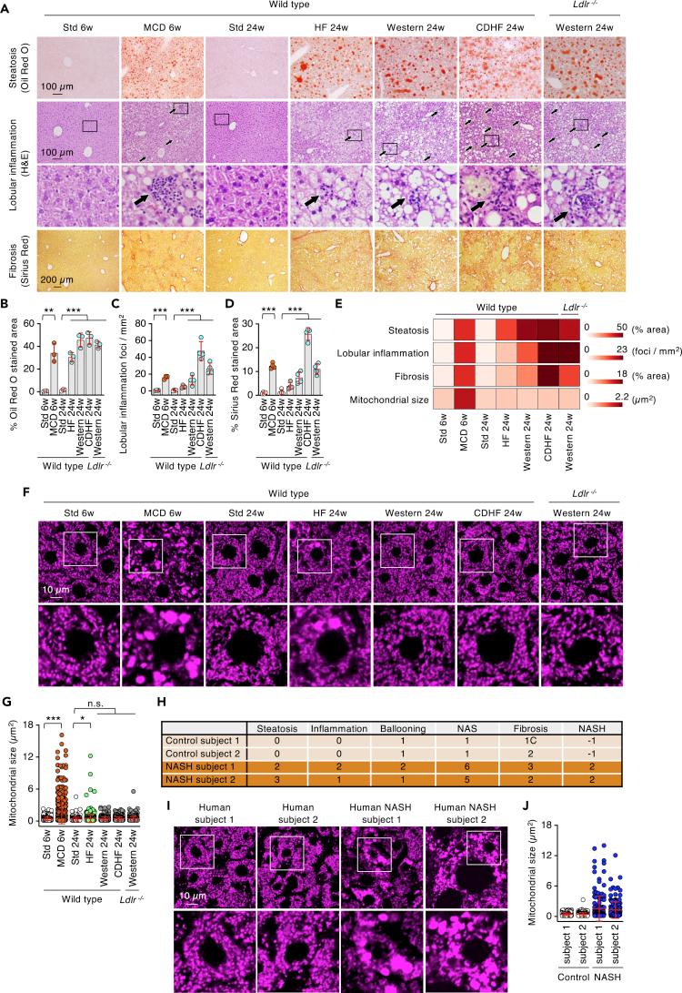 https://cdn.ncbi.nlm.nih.gov/pmc/blobs/5b60/8927900/fe2ab998750d/gr1.jpg