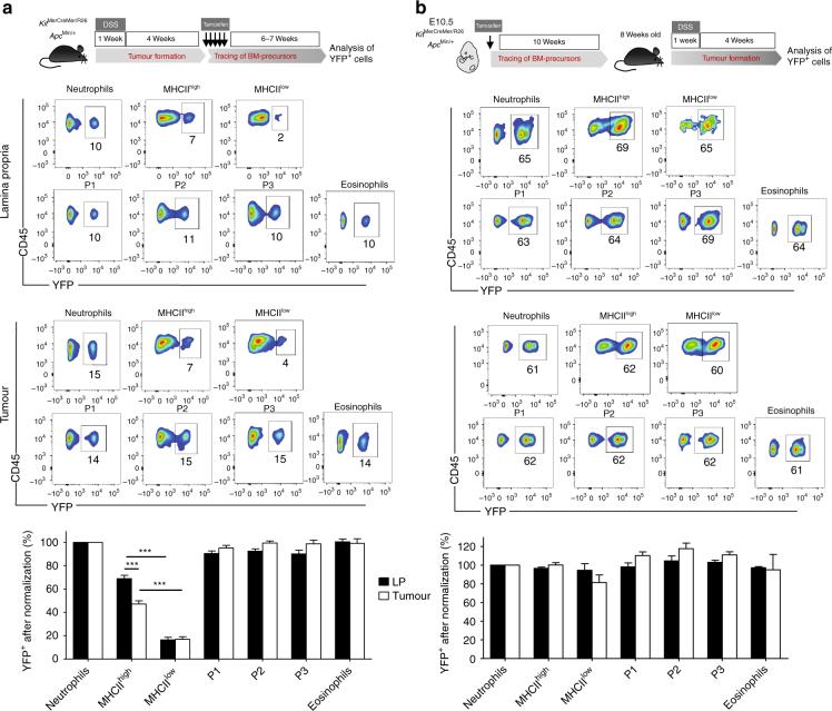 https://cdn.ncbi.nlm.nih.gov/pmc/blobs/5b61/5805689/0dbf24e42eaf/41467_2018_2834_Fig5_HTML.jpg