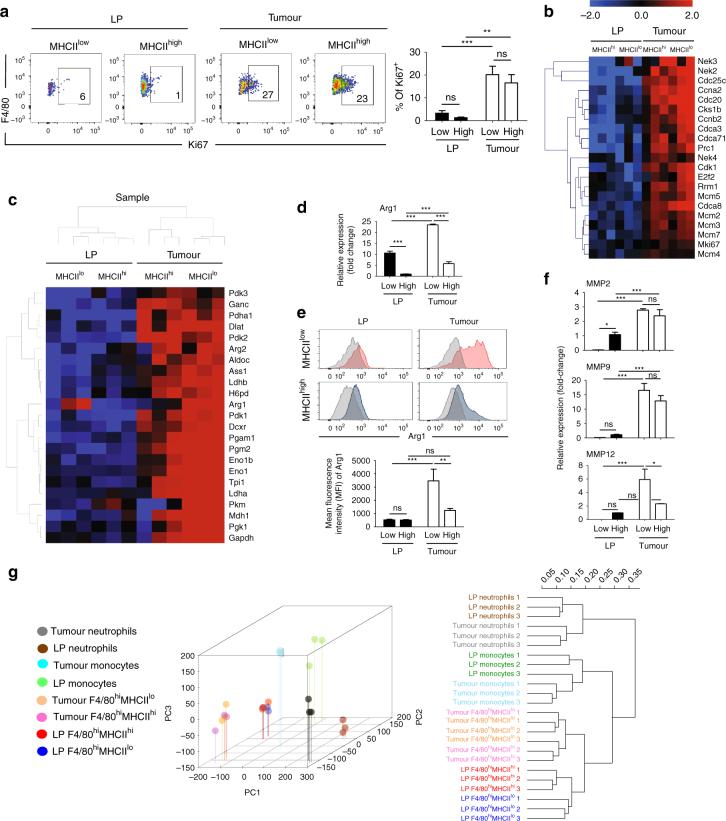 https://cdn.ncbi.nlm.nih.gov/pmc/blobs/5b61/5805689/57d2e2b724bd/41467_2018_2834_Fig6_HTML.jpg