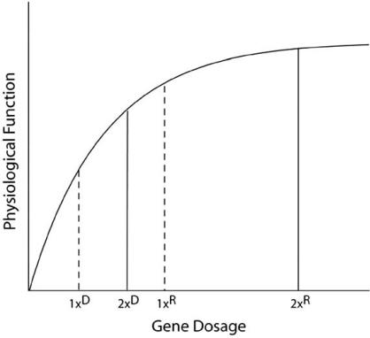 https://cdn.ncbi.nlm.nih.gov/pmc/blobs/5b62/3048311/e9d6af6913a9/CG-11-482_F2.jpg