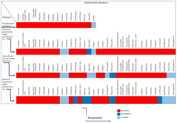 https://cdn.ncbi.nlm.nih.gov/pmc/blobs/5b62/8944737/afd1e43edec1/antibiotics-11-00422-g006.jpg